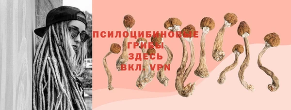 мяу мяу мука Арсеньев