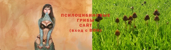 PSILOCYBIN Баксан