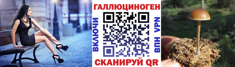 Псилоцибиновые грибы прущие грибы  Яблоновский 